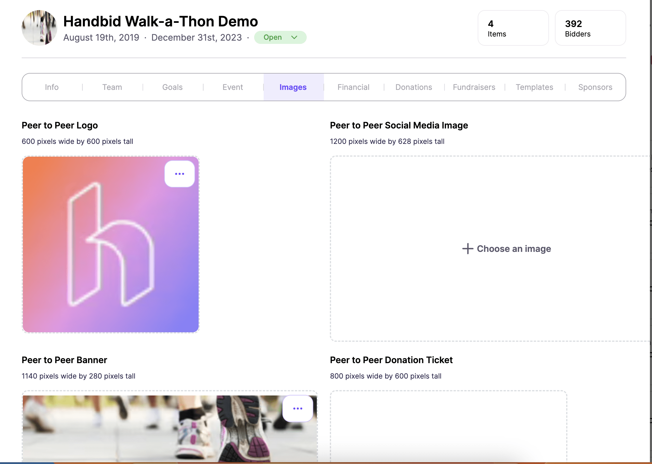 Auction Widget Settings Donorview - Nature Illustrations - Gorgeous HD Collection